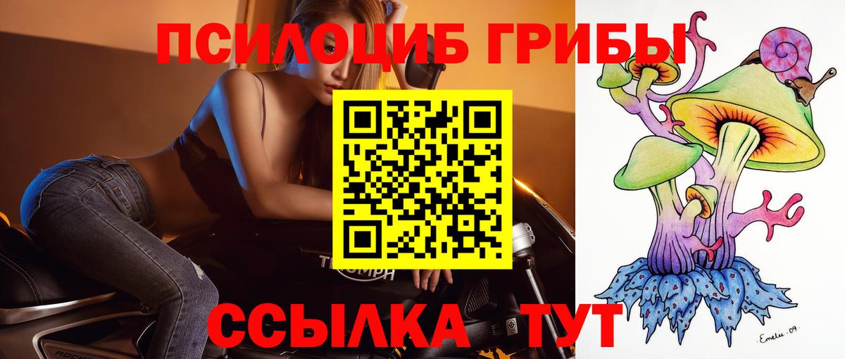 Псилоцибиновые грибы прущие грибы  цены   Братск  Вход с VPN 